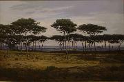 Les pins de Pledeliac Alexandre N. Roussoff